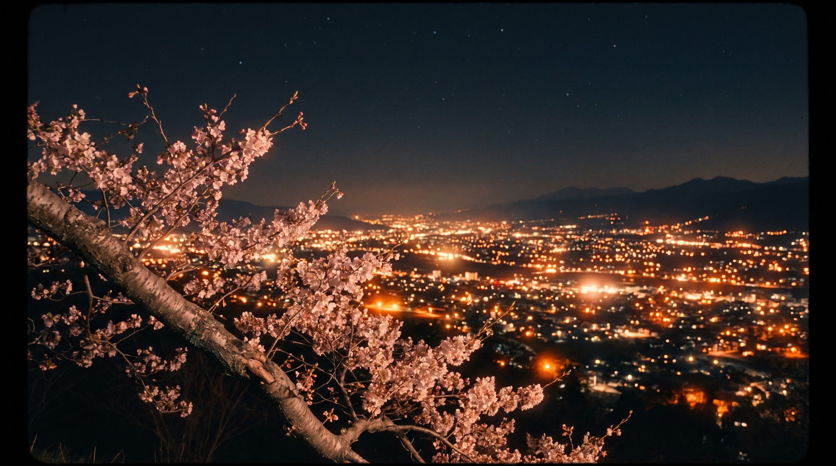 City lights at night seen through a cherry-blossom branch